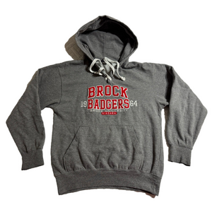 Unisex Brock University Badgers Hoodie Unisex Lady Man Size Small Gray